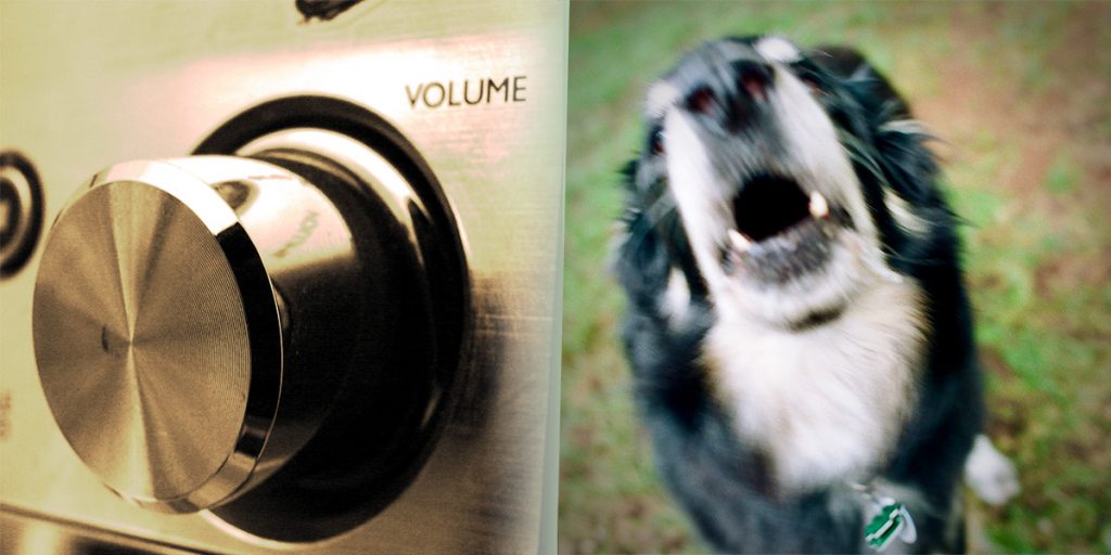 dealing with noisy neighbours with roller shutters