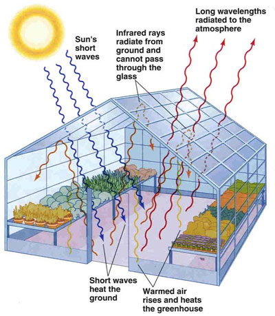 Graphic explaining the Greenhouse effect