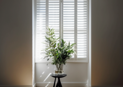 Plantation shutters vs Blinds